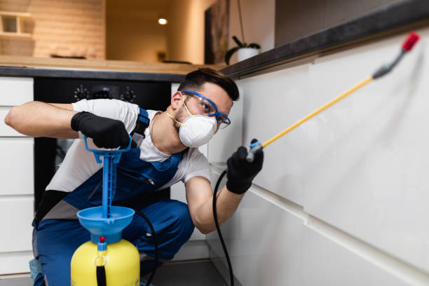 Best Best Pest Control Companies  in Sussex, NJ