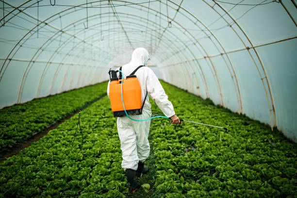 Best Emergency Pest Control  in Sussex, NJ