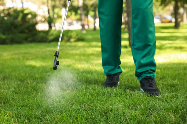 Best Mosquito Control Services  in Sussex, NJ