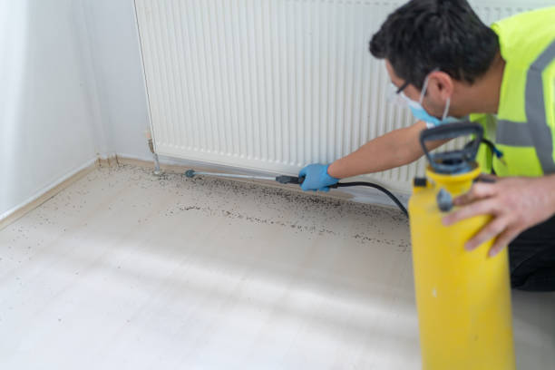 Best Exterminator Services  in Sussex, NJ
