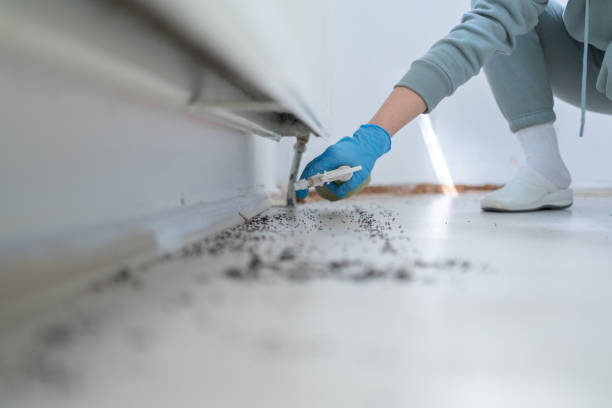 Best Affordable Pest Control Services  in Sussex, NJ