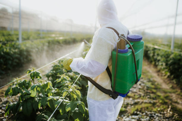 Best Emergency Pest Control  in Sussex, NJ